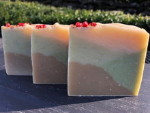 Load image into Gallery viewer, Walk in the Woods