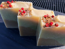 Load image into Gallery viewer, Walk in the Woods