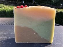 Load image into Gallery viewer, Walk in the Woods