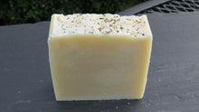 Load image into Gallery viewer, Forest Mint Shampoo Bar