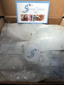Bath Salts and Soap Gift Set