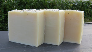 Forest Mint Shampoo Bar