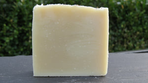 Forest Mint Shampoo Bar