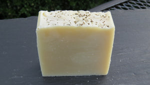 Forest Mint Shampoo Bar