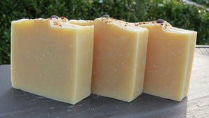 Zesty Juniper Orange & Honey Shampoo Bar